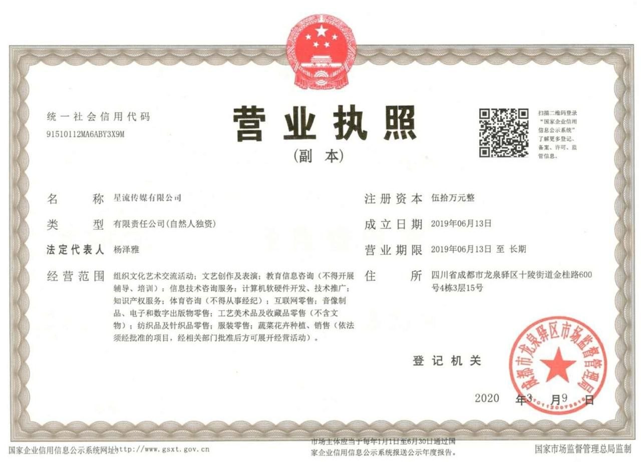 星流传媒有限公司营业执照
